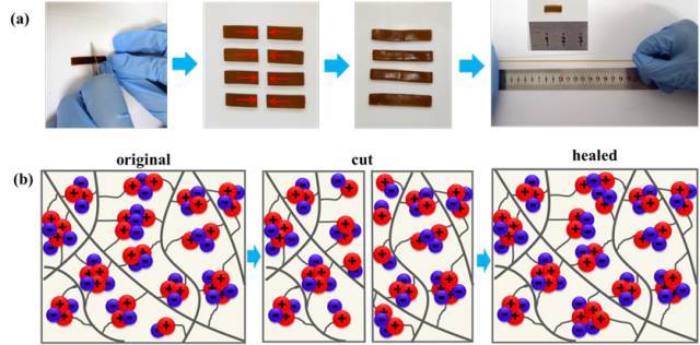 Monils - 默尼離子液體